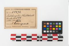 Etikett zu Bronzekegelhalsgefäß (NHMW-PRAE-025472)